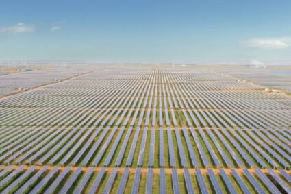 China cubrió un desierto con paneles solares y confirmó que puede cambiar el ecosistema para siempre